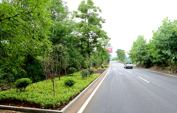 新晃公路局生态护路打造景观交通走廊